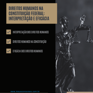 resumo de direitos humanos