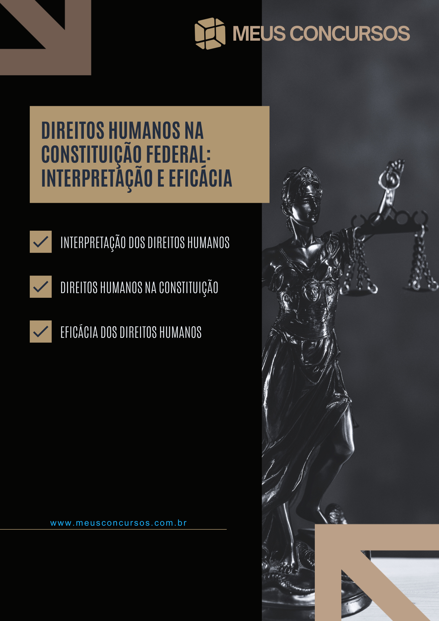 resumo de direitos humanos